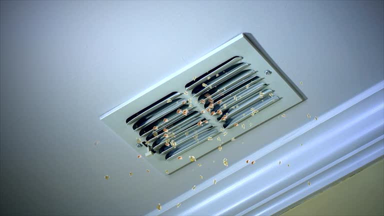 Best Air Vent Cleaning Services  in Hamlet, IN