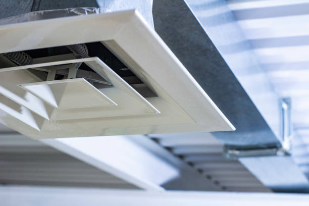 Best Affordable Duct Cleaning Services  in Hamlet, IN