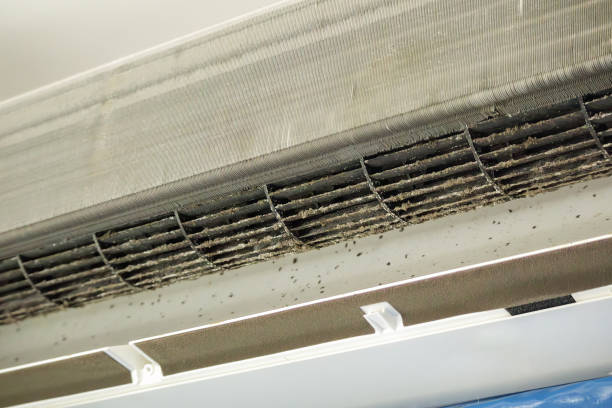 Best Ventilation Cleaning Services  in Hamlet, IN