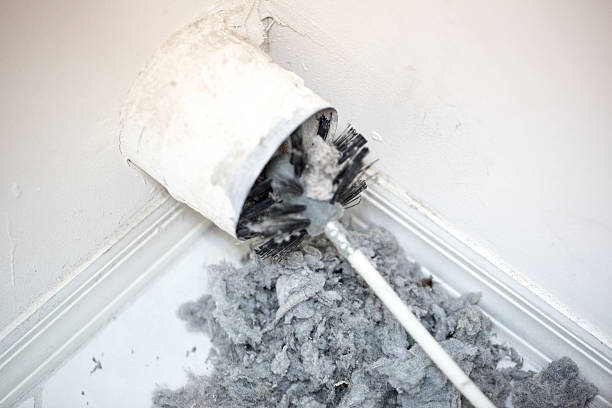 Best Affordable Air Duct Cleaning  in Hamlet, IN